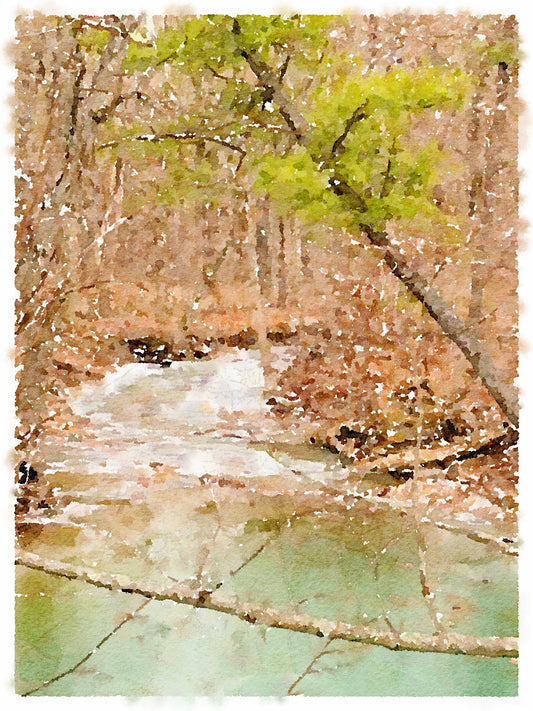 Creek at Artemas, Fine Art Print