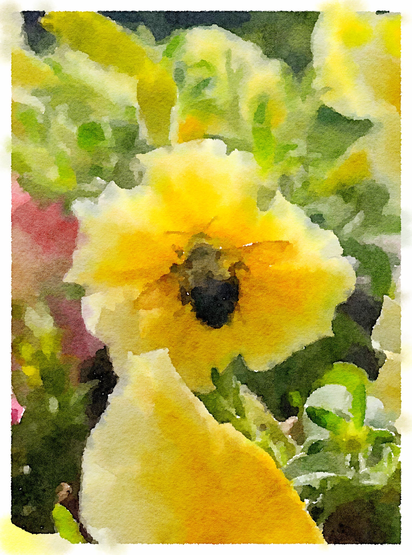 Pollinator II, Fine Art Print