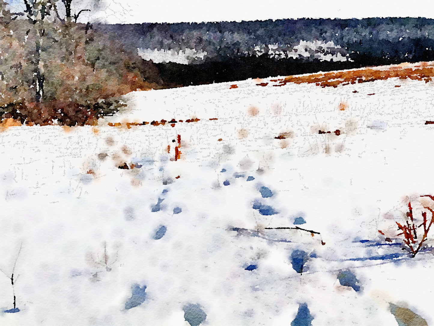 Snowy Prints, Fine Art Print