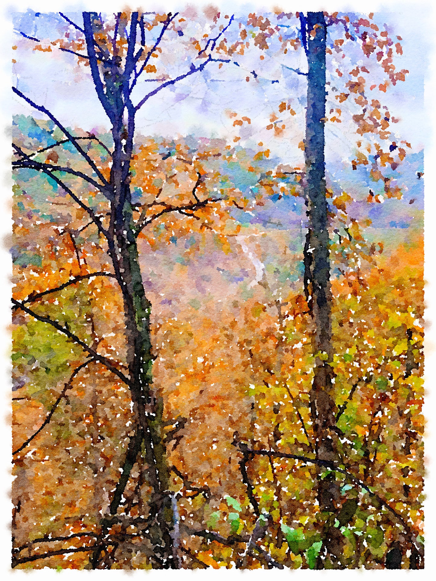 Through the Trees, Fine Art Print