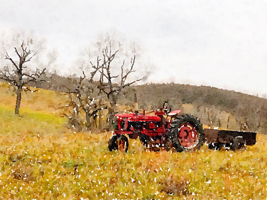 Alone in the Field, Fine Art Print