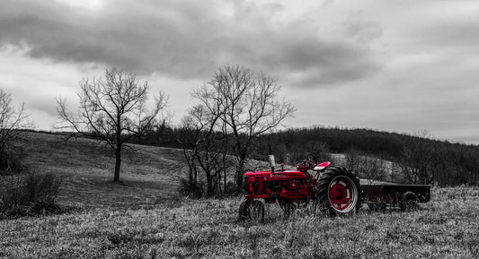 Alone in the Field Red, Fine Art Print